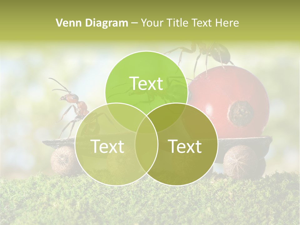 Juicy Vehicle Semitruck PowerPoint Template