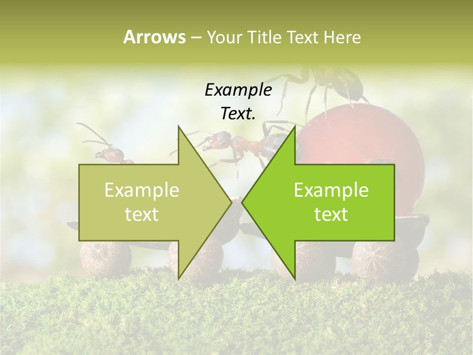 Juicy Vehicle Semitruck PowerPoint Template