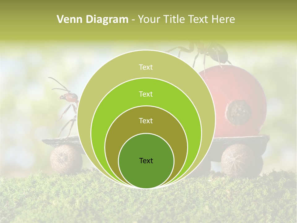 Juicy Vehicle Semitruck PowerPoint Template