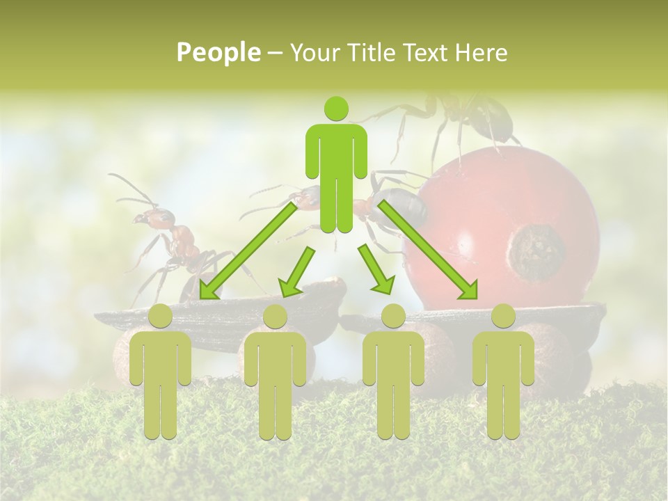 Juicy Vehicle Semitruck PowerPoint Template