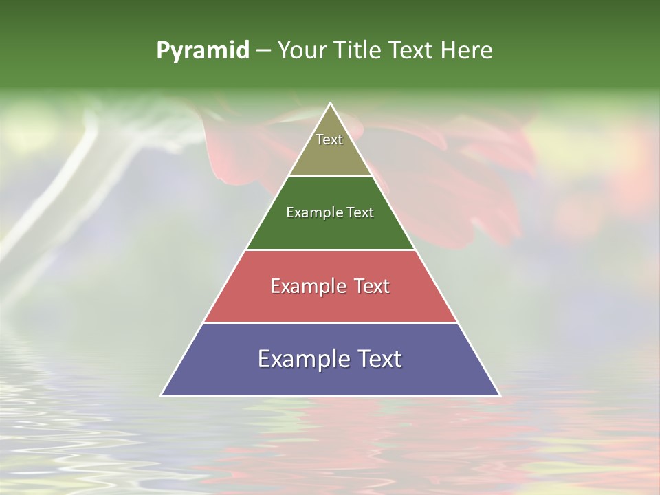 Year Buy Concept PowerPoint Template