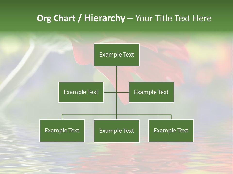 Year Buy Concept PowerPoint Template
