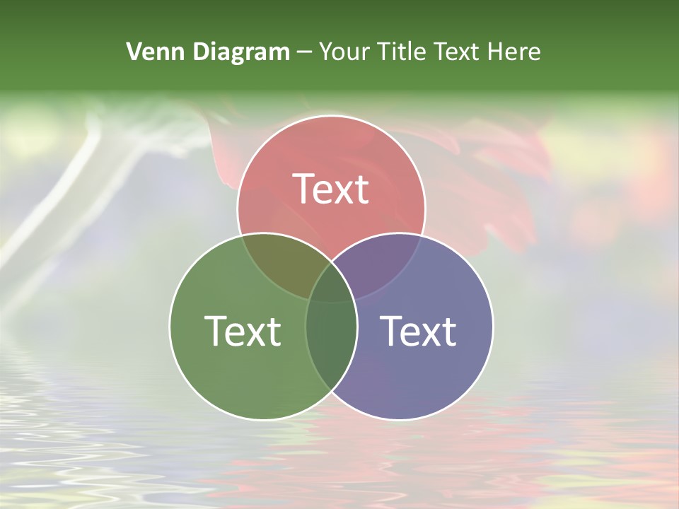 Year Buy Concept PowerPoint Template