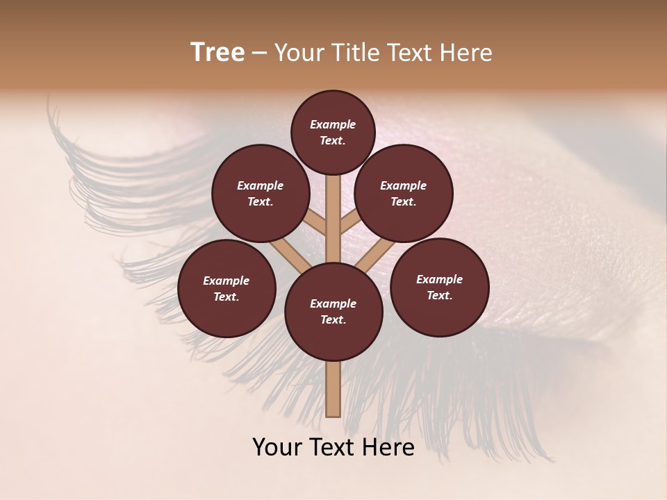 Example Perfect Eyelashes PowerPoint Template