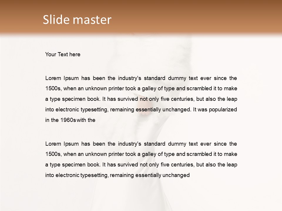 Romantic Waiting Veil PowerPoint Template