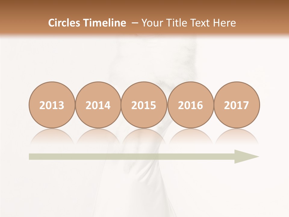 Romantic Waiting Veil PowerPoint Template