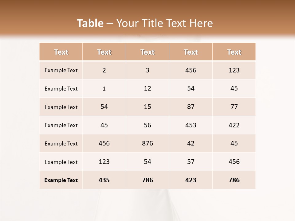 Romantic Waiting Veil PowerPoint Template