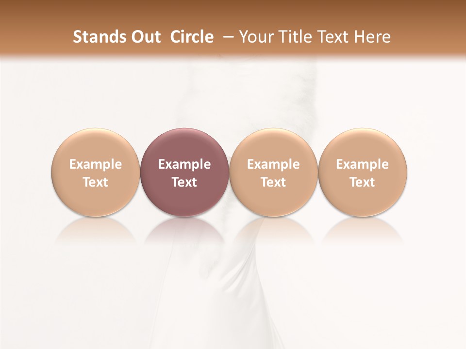 Romantic Waiting Veil PowerPoint Template