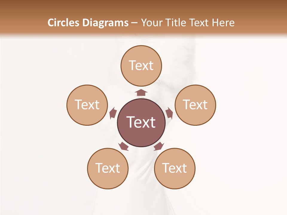 Romantic Waiting Veil PowerPoint Template