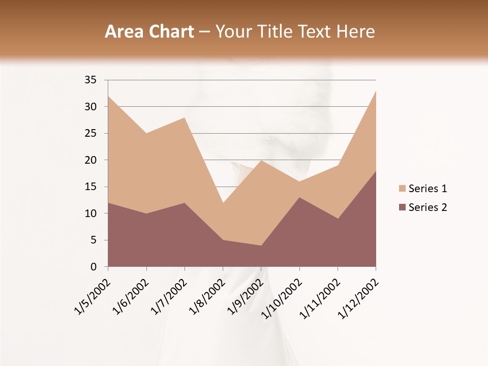 Romantic Waiting Veil PowerPoint Template
