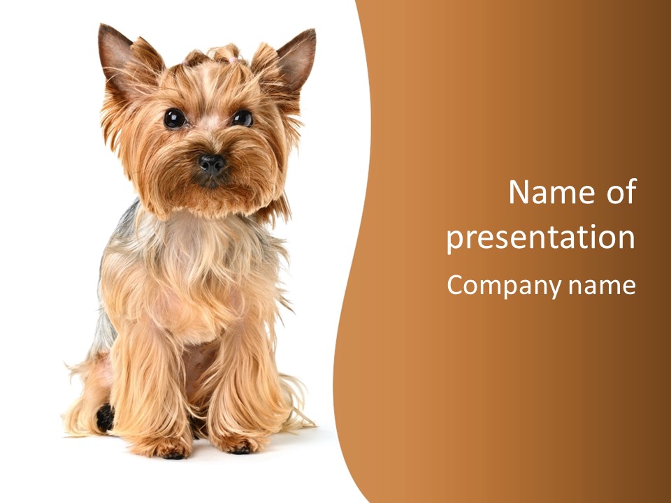 View Dog Mini PowerPoint Template