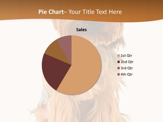 View Dog Mini PowerPoint Template