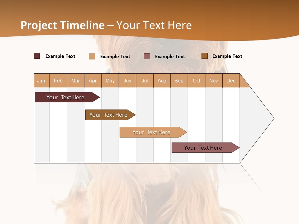 View Dog Mini PowerPoint Template