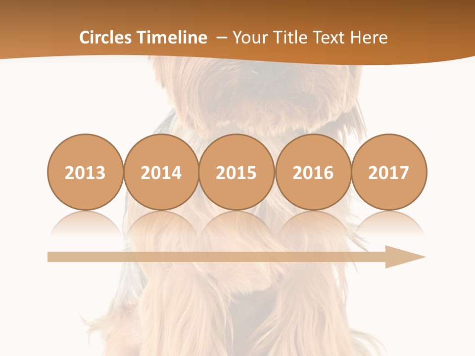 View Dog Mini PowerPoint Template