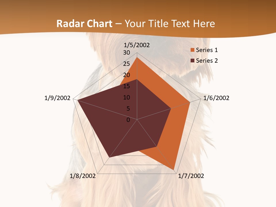 View Dog Mini PowerPoint Template