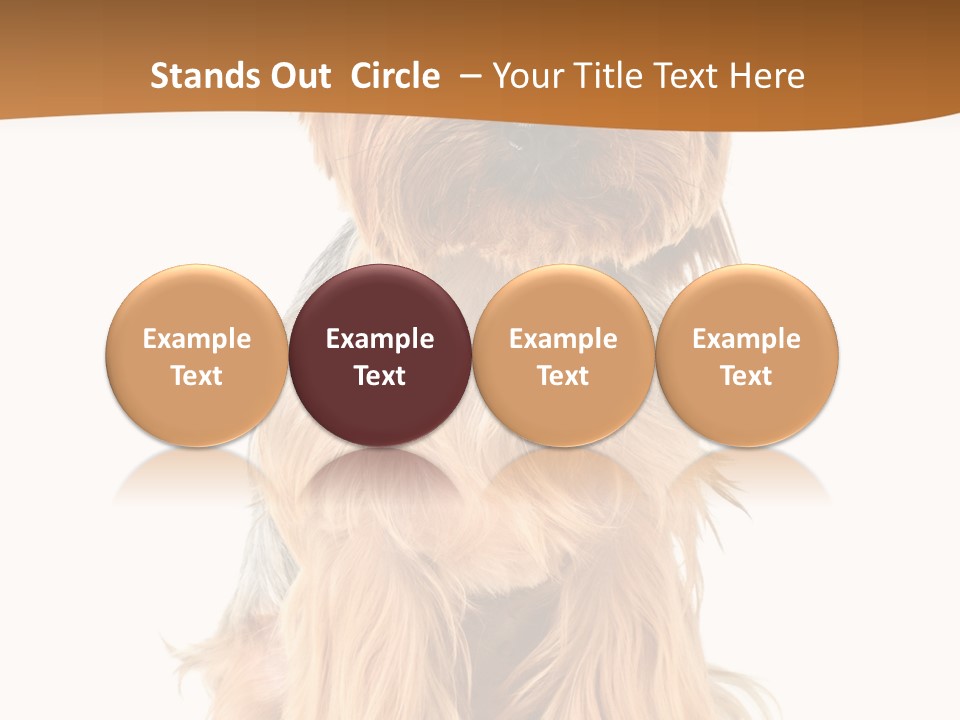 View Dog Mini PowerPoint Template