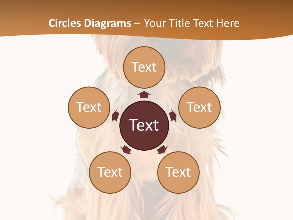 View Dog Mini PowerPoint Template