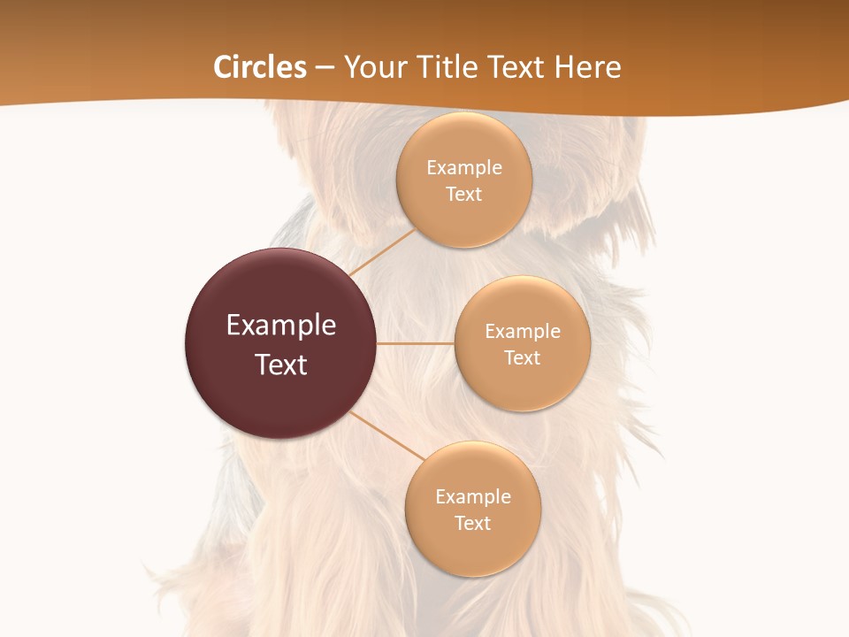 View Dog Mini PowerPoint Template