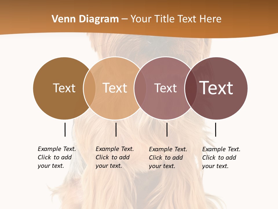 View Dog Mini PowerPoint Template