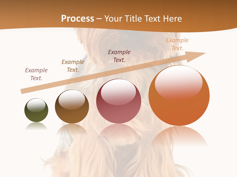 View Dog Mini PowerPoint Template