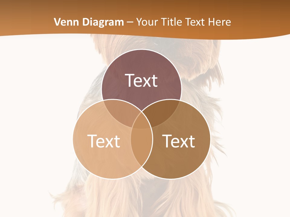 View Dog Mini PowerPoint Template