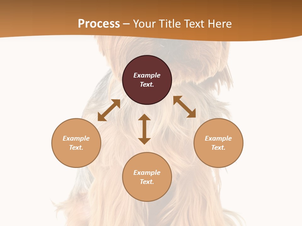 View Dog Mini PowerPoint Template