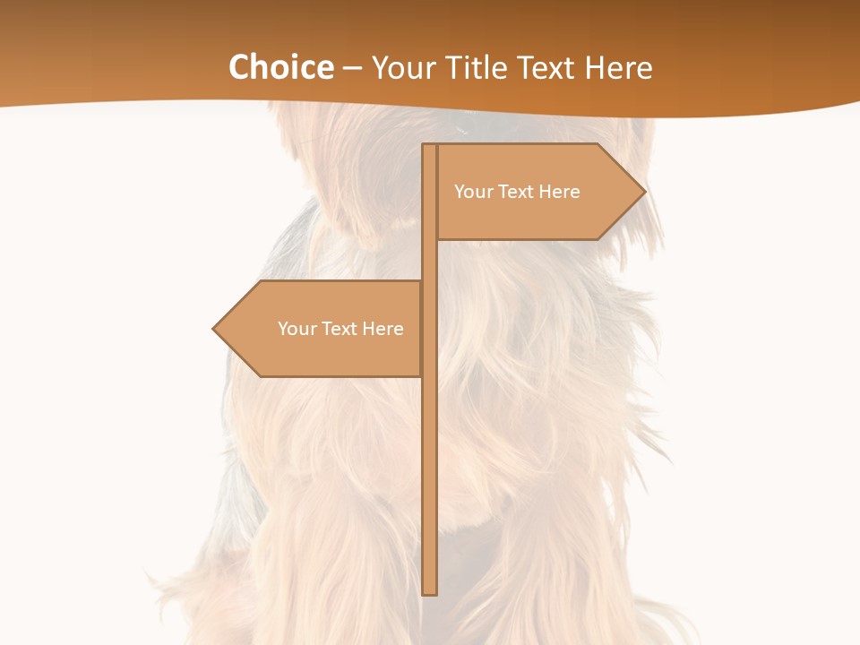 View Dog Mini PowerPoint Template