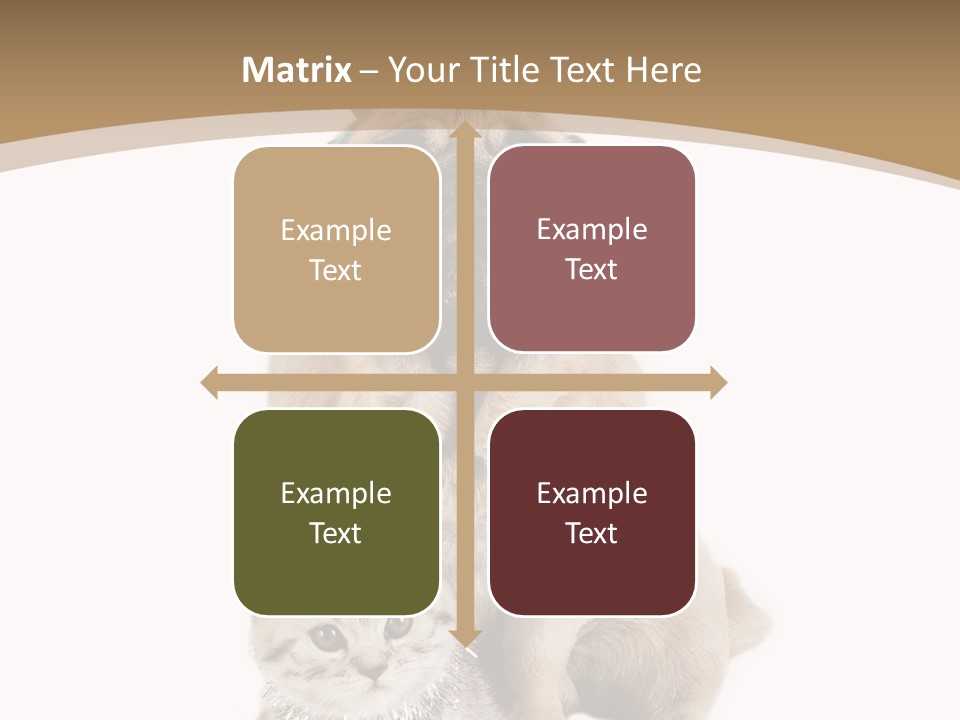 Feline Companion Cat PowerPoint Template