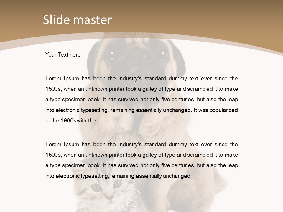 Feline Companion Cat PowerPoint Template