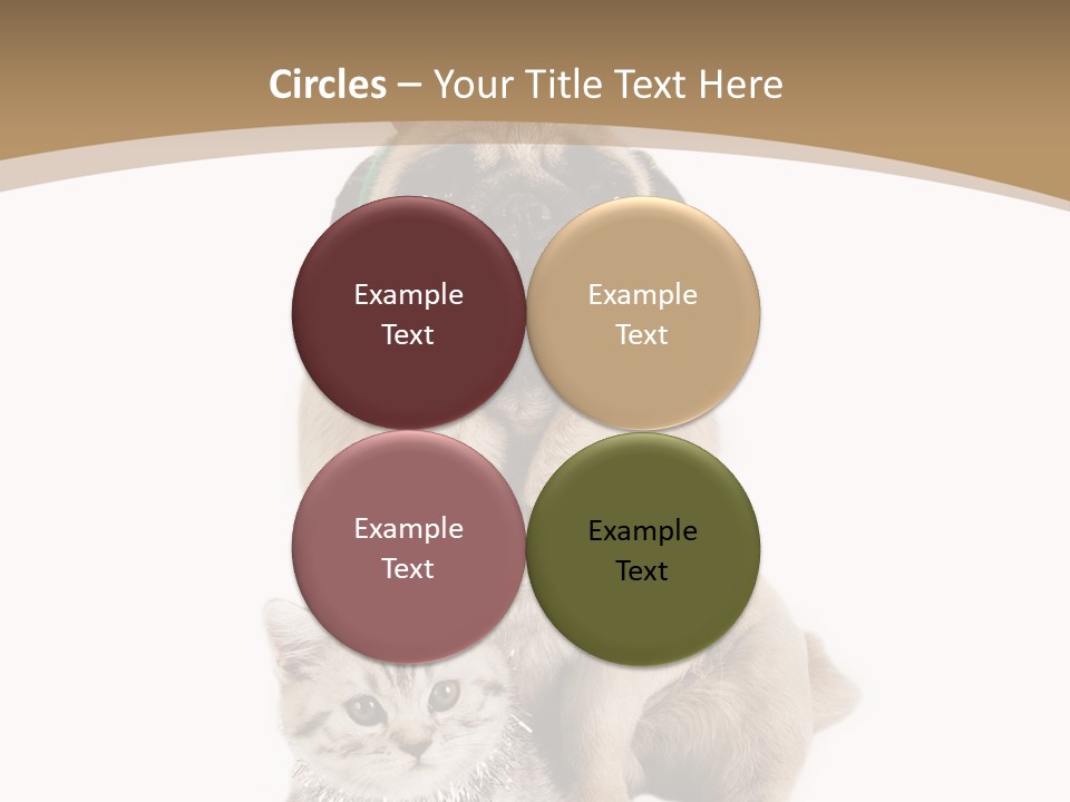 Feline Companion Cat PowerPoint Template
