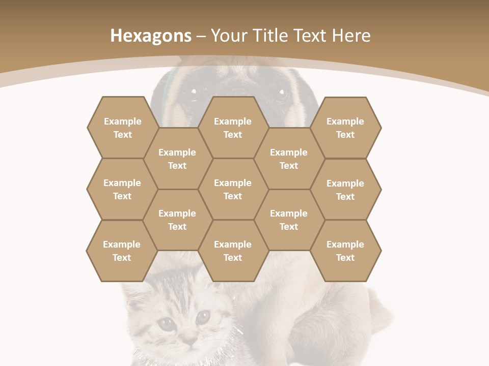 Feline Companion Cat PowerPoint Template