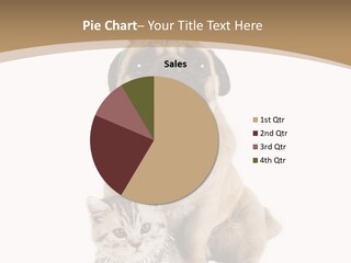 Feline Companion Cat PowerPoint Template