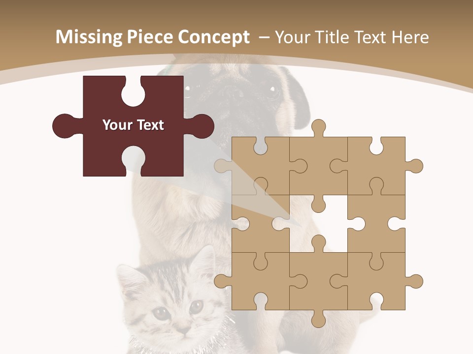 Feline Companion Cat PowerPoint Template