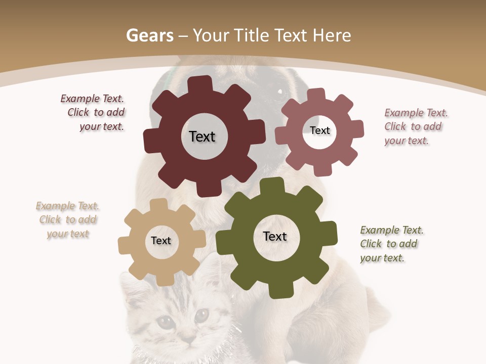 Feline Companion Cat PowerPoint Template