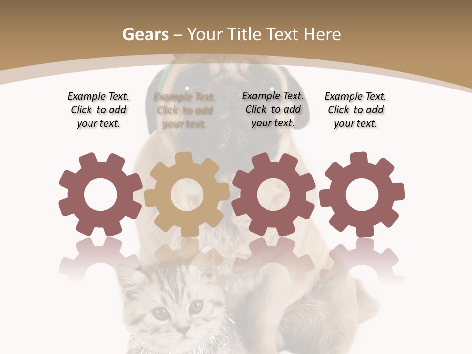 Feline Companion Cat PowerPoint Template