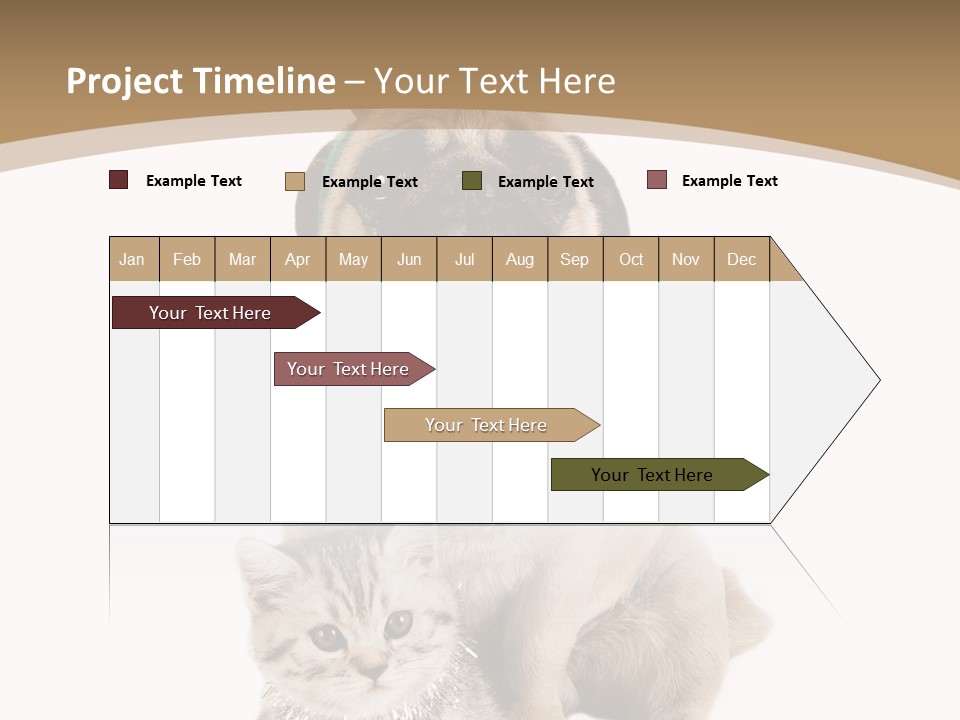 Feline Companion Cat PowerPoint Template