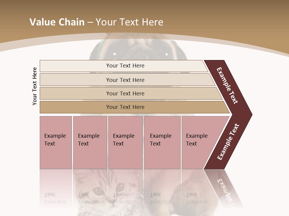 Feline Companion Cat PowerPoint Template