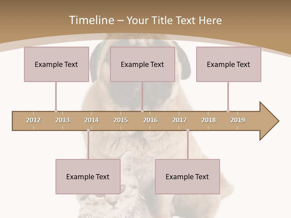 Feline Companion Cat PowerPoint Template