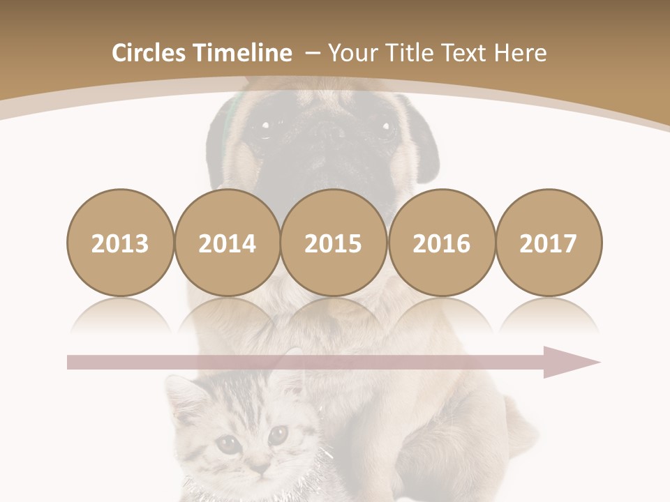 Feline Companion Cat PowerPoint Template