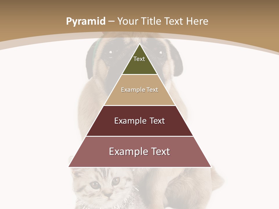 Feline Companion Cat PowerPoint Template