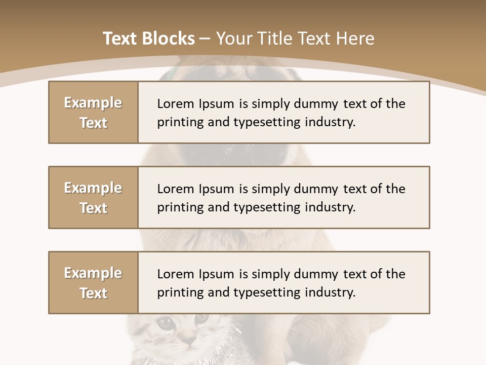 Feline Companion Cat PowerPoint Template