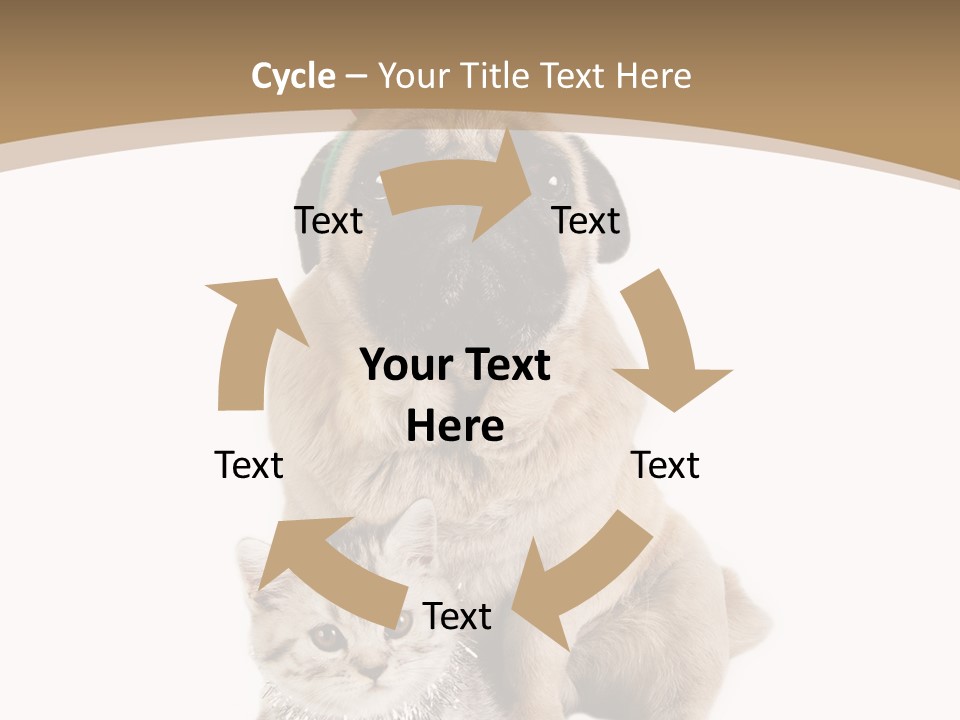 Feline Companion Cat PowerPoint Template