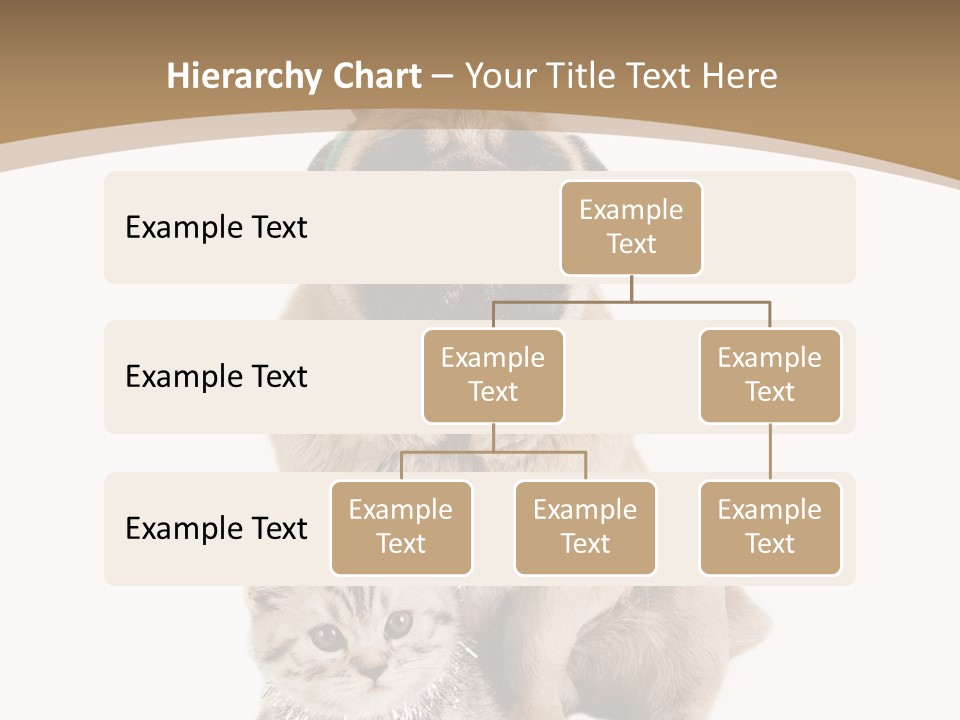 Feline Companion Cat PowerPoint Template