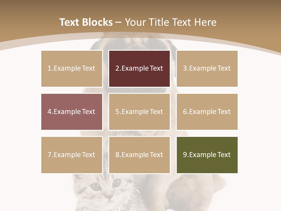 Feline Companion Cat PowerPoint Template