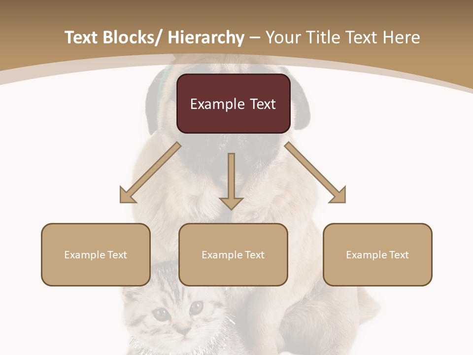 Feline Companion Cat PowerPoint Template