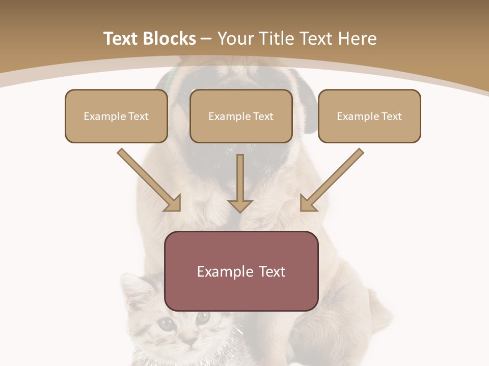 Feline Companion Cat PowerPoint Template