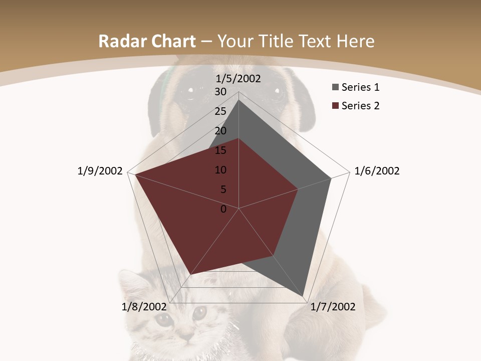 Feline Companion Cat PowerPoint Template