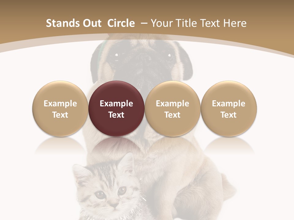 Feline Companion Cat PowerPoint Template
