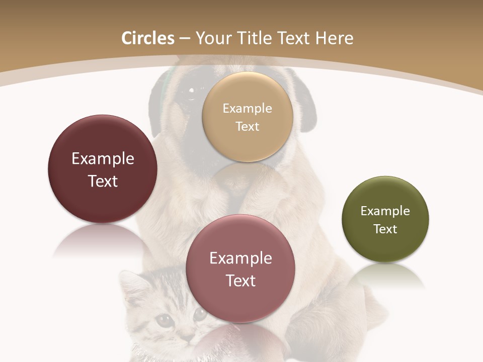 Feline Companion Cat PowerPoint Template
