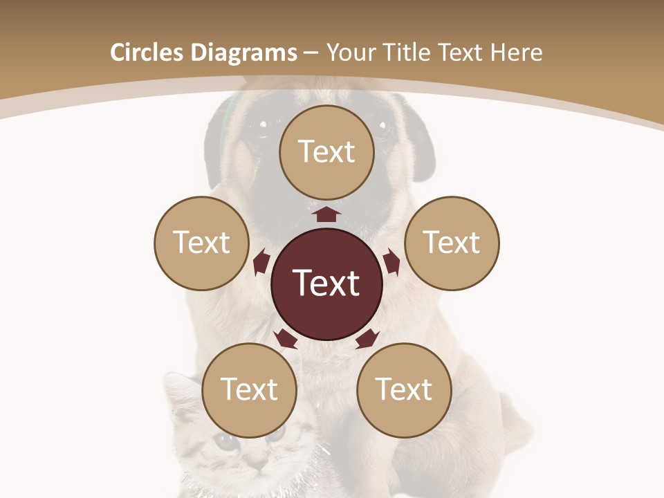 Feline Companion Cat PowerPoint Template